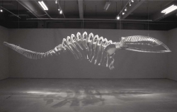 Shapeshifter, 2000, plastic chairs. Installation view. Courtesy of Catriona Jeffries Gallery, Vancouver.
