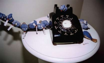 Sonia Rosychuk.  A Little Birdie Told Me. Mixed media.  Detail view of installation.